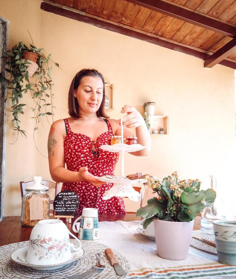 Casale Dei Ricordi Bed & Breakfast Arce Eksteriør bilde