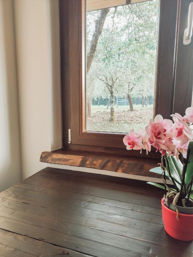 Casale Dei Ricordi Bed & Breakfast Arce Eksteriør bilde
