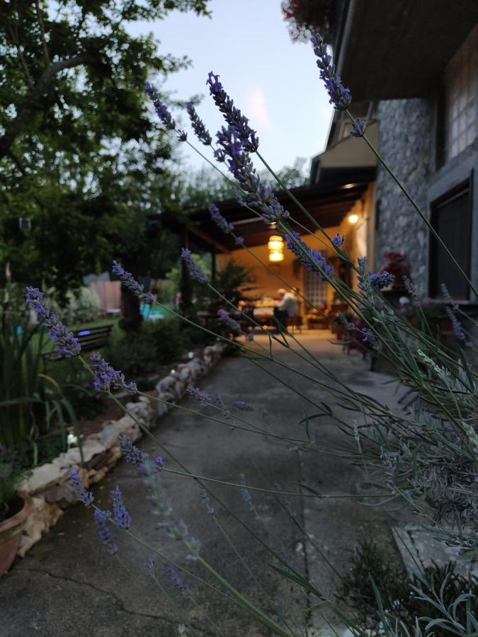 Casale Dei Ricordi Bed & Breakfast Arce Eksteriør bilde