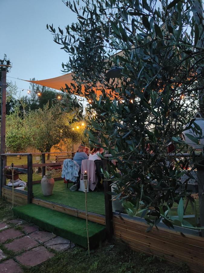 Casale Dei Ricordi Bed & Breakfast Arce Eksteriør bilde