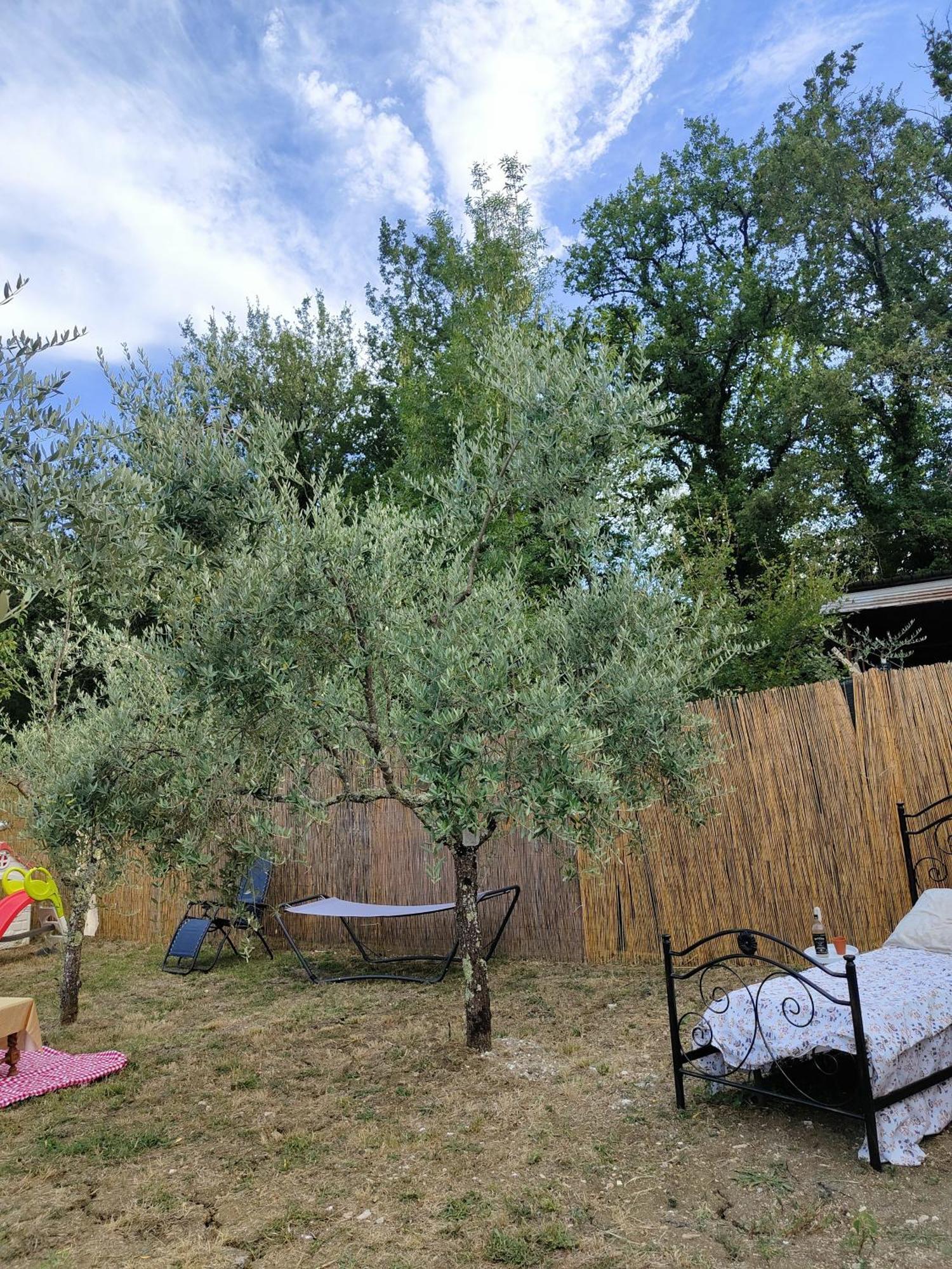 Casale Dei Ricordi Bed & Breakfast Arce Eksteriør bilde